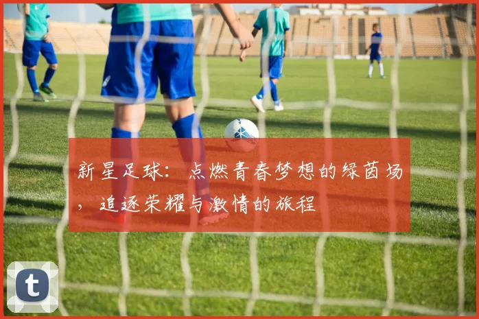 新星足球：点燃青春梦想的绿茵场，追逐荣耀与激情的旅程