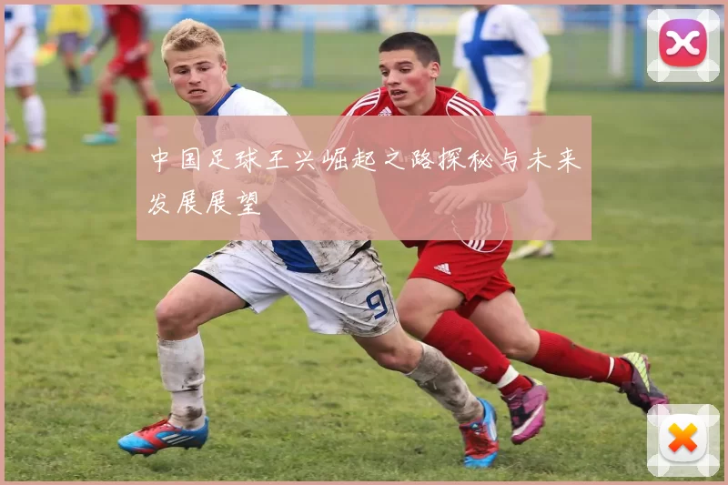 中国足球王兴崛起之路探秘与未来发展展望