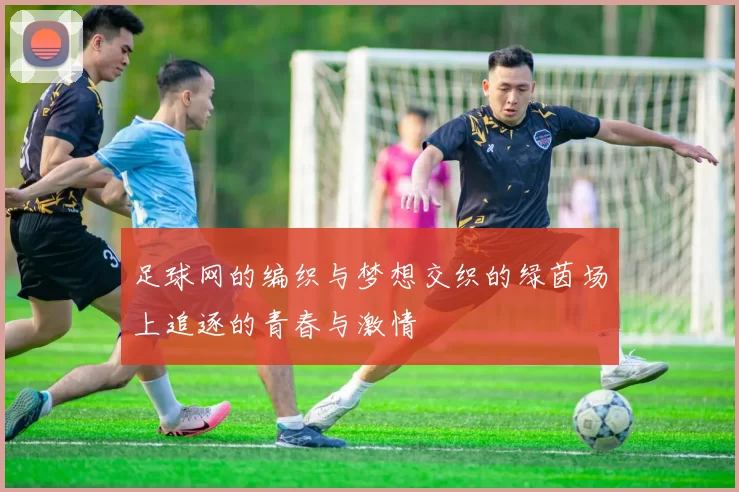 足球网的编织与梦想交织的绿茵场上追逐的青春与激情