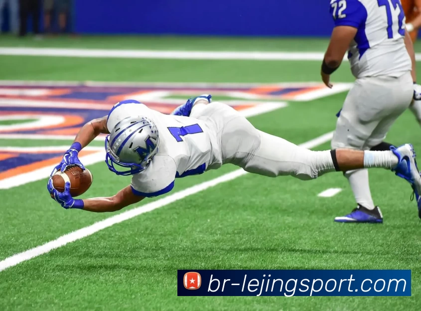 乐竞体育平台生态图